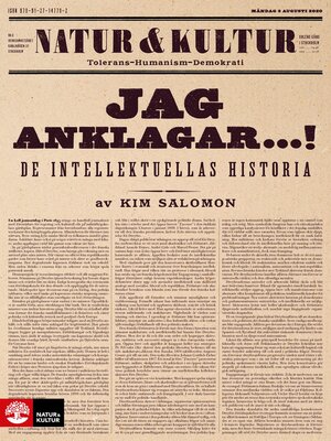 cover image of Jag anklagar